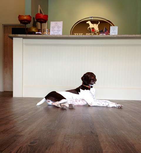 The Pet Lodge of Pinehurst The Pet Lodge of Pinehurst
